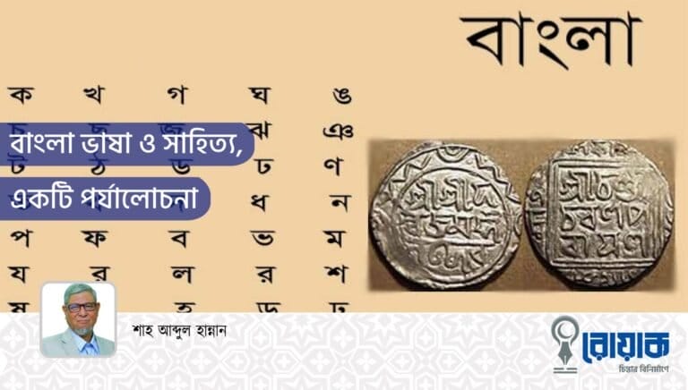 বাংলা ভাষা ও সাহিত্য, একটি পর্যালোচনা