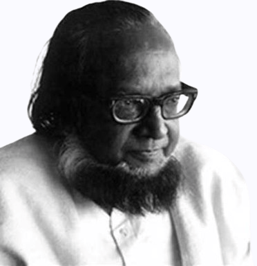 Picture of অধ্যাপক সৈয়দ আলী আহসান